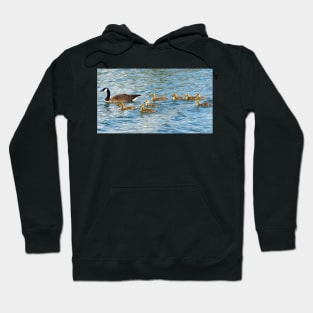 Canada Goose Family Going For a Swim Hoodie